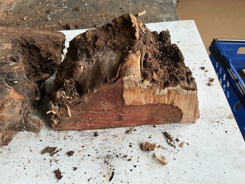 Yew block well - ,x2,well, seasoned