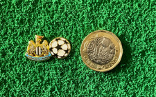 Newcastle United Champions