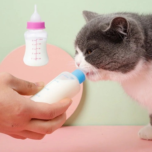 150ml pet feeding bottles - feeding,