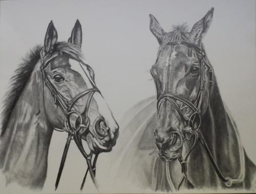 Kauto star denman racing - star,