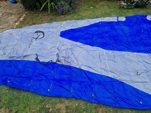 Wind art demon - art, kite