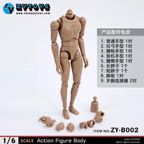 Zytoys b002 scale - zytoys, male