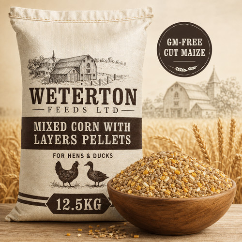 5kg mixed corn - mixed, with