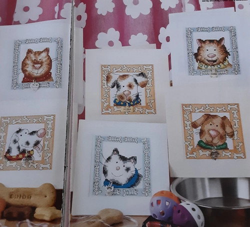 Furry friends cat dog - &,