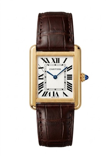 Cartier tank solo - tank,
