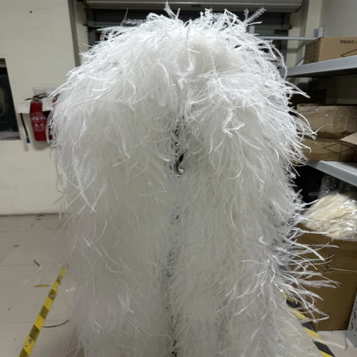 Meters beauty ostrich - 2,