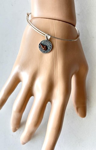 Alex ani 925 sterling - ani, silver