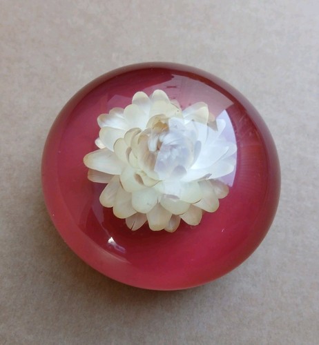 Vintage lucite paperweight - vintage,