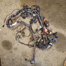 Genuine Triumph Speed Triple