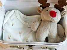 Little White Company Christmas