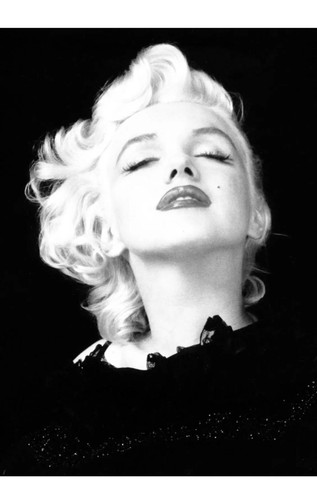 Marilyn monroe monochrome - marilyn,