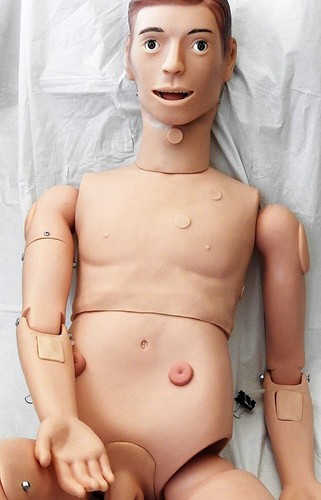 Lifesize human manikin model