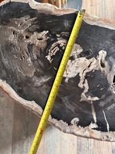 Fossilised Tree Trunk 100kg Petrified  Wood Fossil Tree Trunk Table