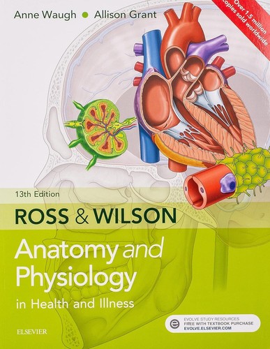 Anatomy physiology in health - physiology,