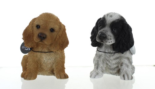 Vivid arts cocker spaniel - vivid,
