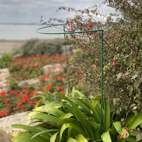 Metal garden plant support - metal,