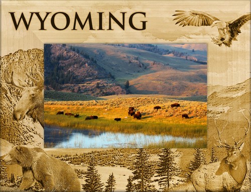 Wyoming laser engraved wood - laser,