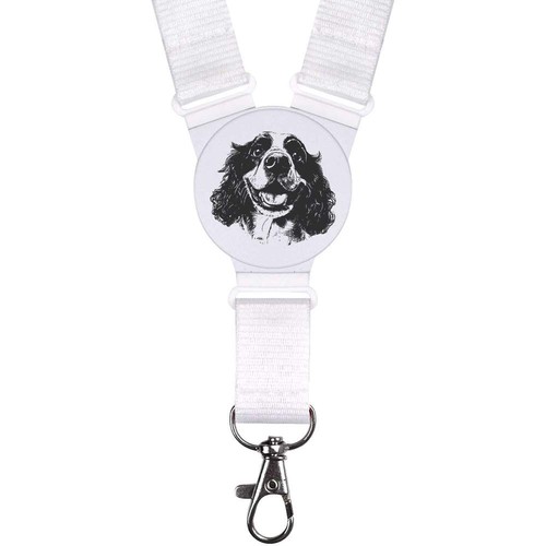 English springer spaniel - springer, spaniel'