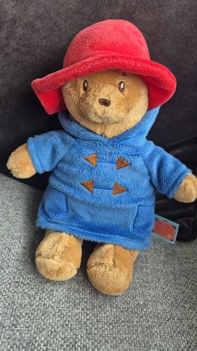 Paddington bear plush - plush, teddy