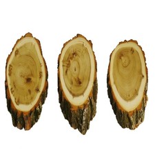 3 Pieces Deer Trophy Plaques