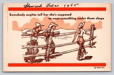 Ranch Dudes Delight Cowgirl Pantless Chaps Buttocks 1945 Saucy Comic Postcard