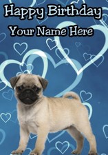 Pug Dog  puppy 2 a5