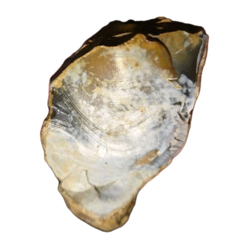 Prehistoric middle - prehistoric,