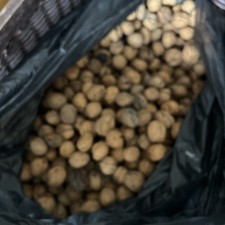 Walnuts in Shell Whole 1.3kg