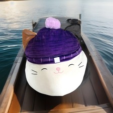 Calico Cat Squishmallow Cam