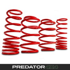 LOWERING SPRINGS 40mm FRONT