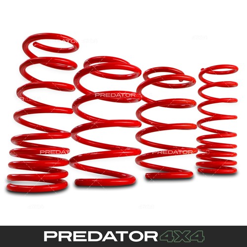 Lowering springs 40mm front - lowering,
