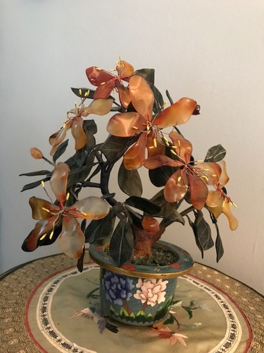 Bonsai tree bronze - tree,
