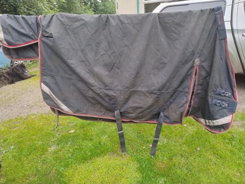 Premier equine buster turnout - premier,