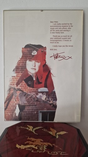 Kate bush aerial - aerial, 2005