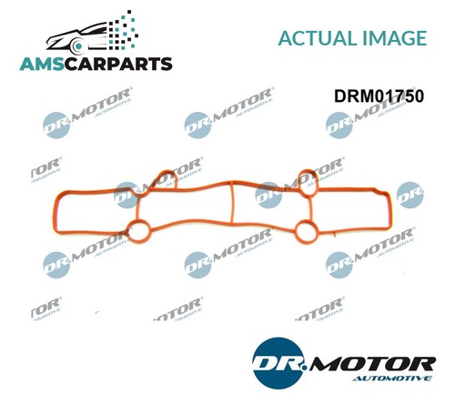 Intake manifold gasket - intake,