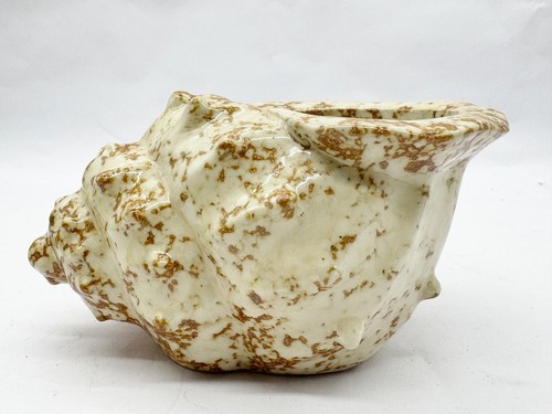 Vintage conch shell - vintage, shape