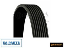 V-Ribbed Belts for RENAULT