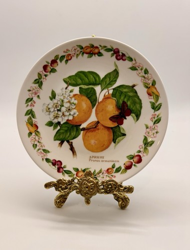 Royal worcester apricot - worcester,