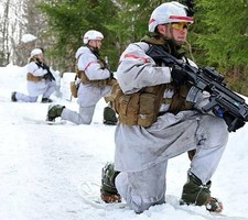 NORWEGIAN ARMY MITTET