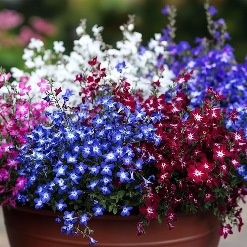 500 seeds cascade - 8,500,