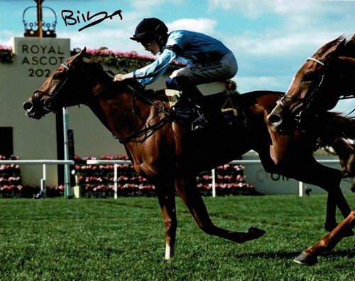 Champion horse racing - champion,