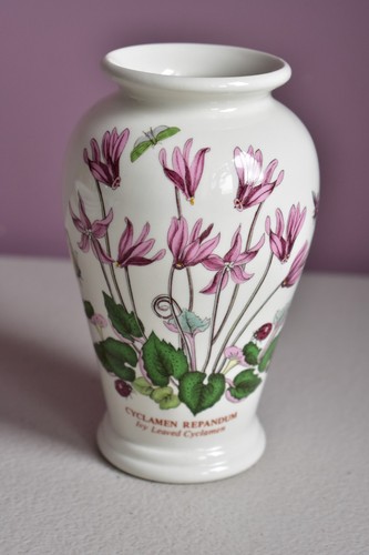 Portmeirion the botanic - the,