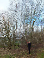 Compact Polesaw Telescopic