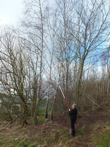Compact polesaw telescopic - polesaw,