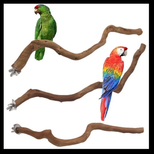 Parrot stand natural bird - stand,