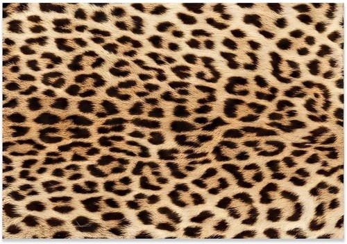 Leopard print carpet premium - leopard-print, carpet,premium