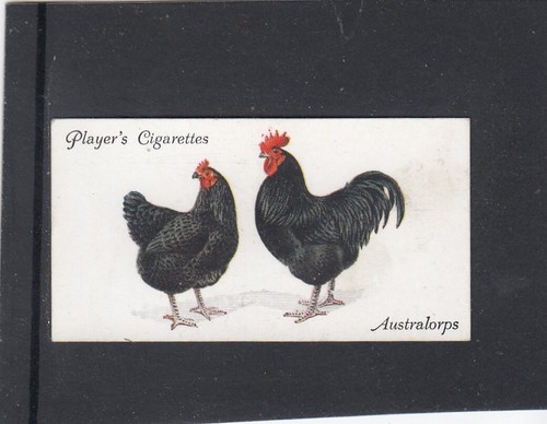 1931 john player sons - john, &