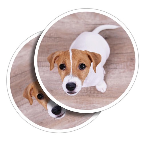 Vinyl stickers jack - stickers,