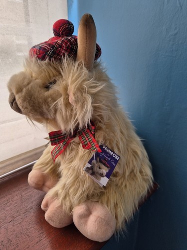 Primrose the highland cow - primrose,