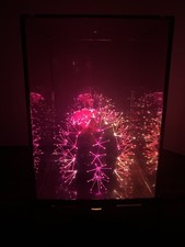 Vintage  Fiber Optic Cactus